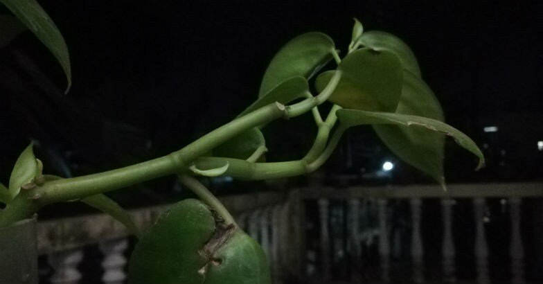ISO 3200 ISO 3200